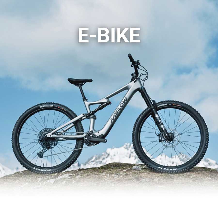 EBIKE STORE BRESCIA
